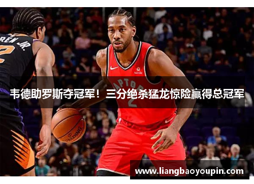 韦德助罗斯夺冠军！三分绝杀猛龙惊险赢得总冠军
